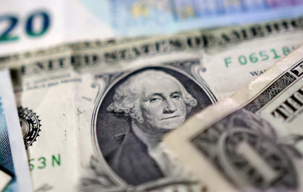 Dollar rises while global stock index falls; inflation and tariffs in focus